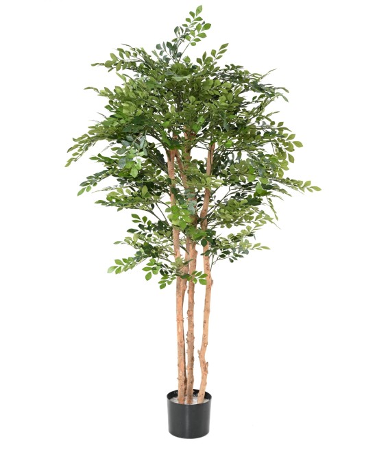 Kunstlik AKAATSIA ECO