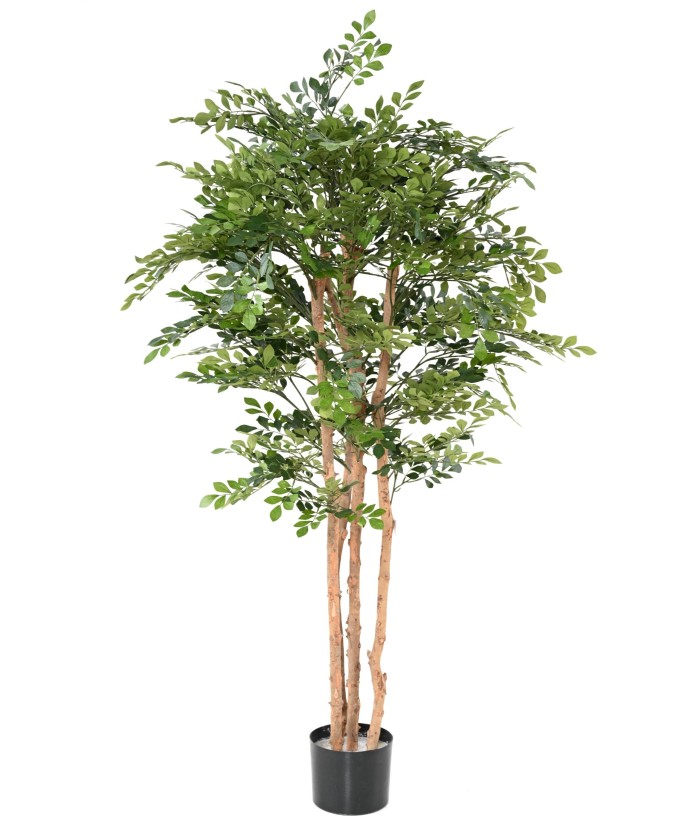 Kunstlik AKAATSIA ECO