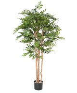 Kunstlik AKAATSIA ECO
