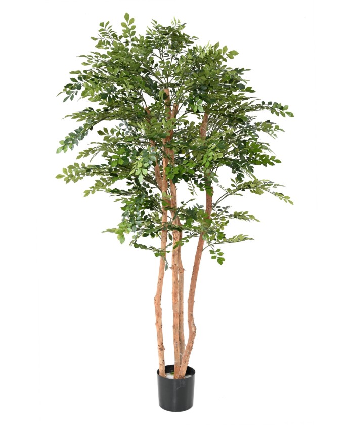 Kunstlik AKAATSIA ECO