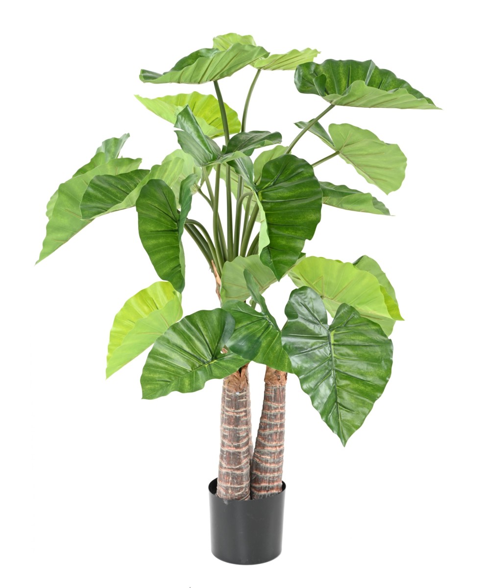 Artificial ALOCASIA