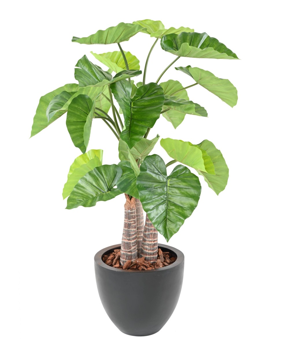 Artificial ALOCASIA