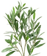 Artificial OLIVE TREE SPRAY PLAST UV