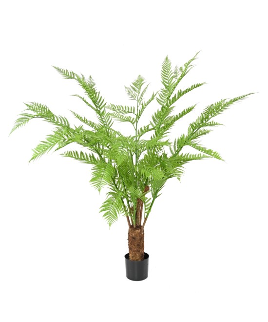 Kunstlik DICKSONIA (SÕNAJALA)