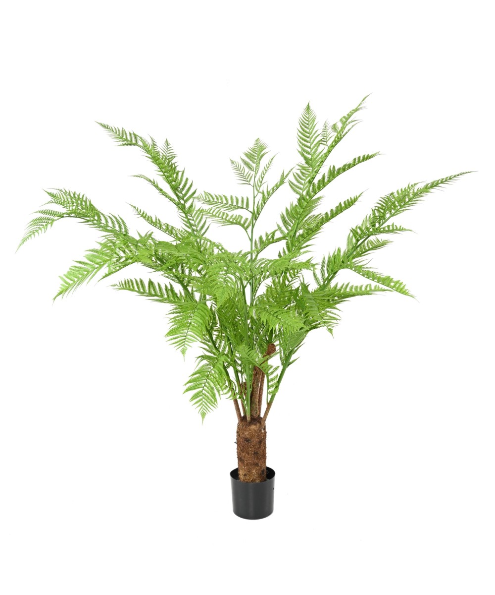 Kunstlik DICKSONIA (SÕNAJALA)