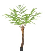 Kunstlik DICKSONIA (SÕNAJALA)