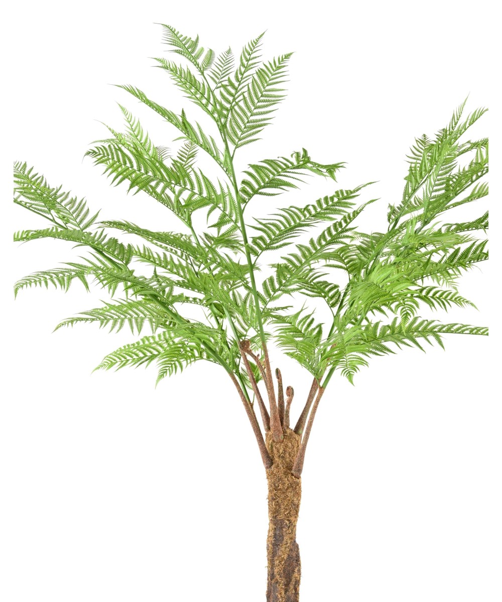 Artificial DICKSONIA (FERN)