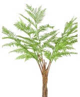 Kunstlik DICKSONIA (SÕNAJALA)