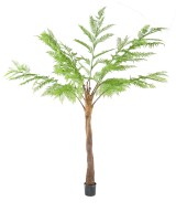 Kunstlik DICKSONIA (SÕNAJALA)