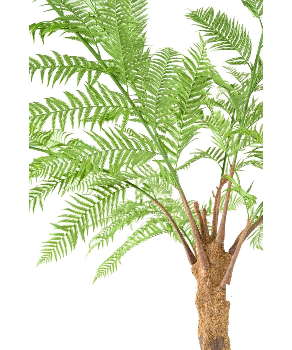 Kunstlik DICKSONIA (SÕNAJALA)