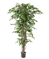 Kunstficus suurte lehtedega rippvõrsetega