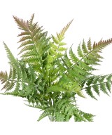 Artificial FERN BUSH