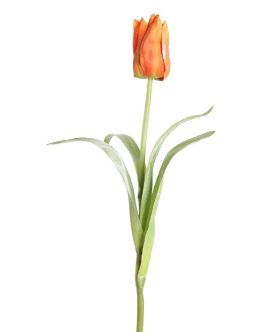 Kunstlik teravatipuline tulp