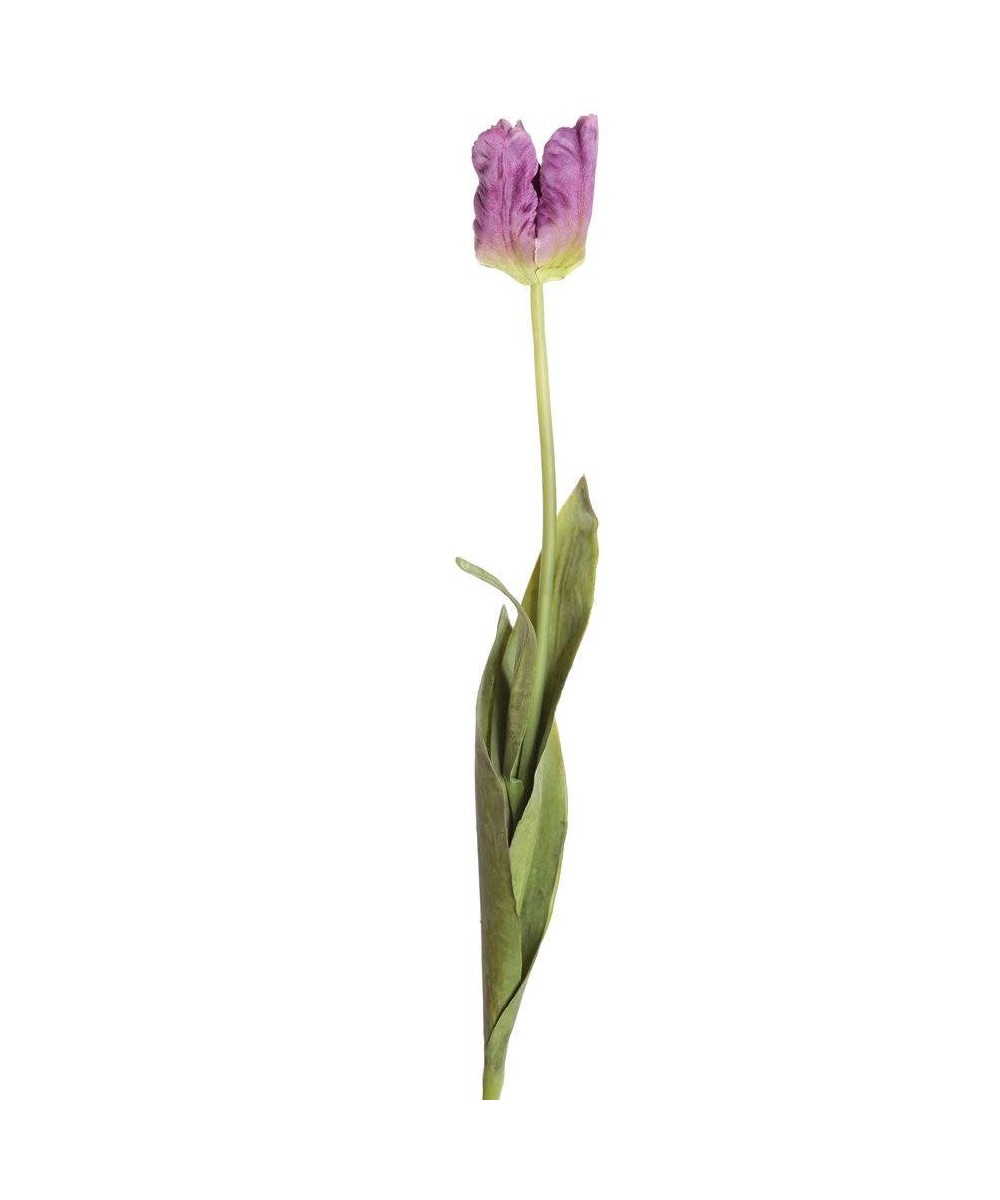 Kunstlik papagoi-tulp