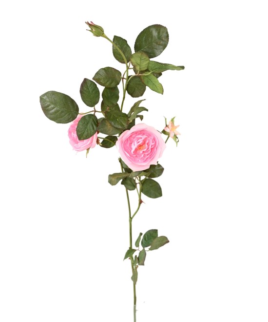 Artificial ENGLISH ROSE