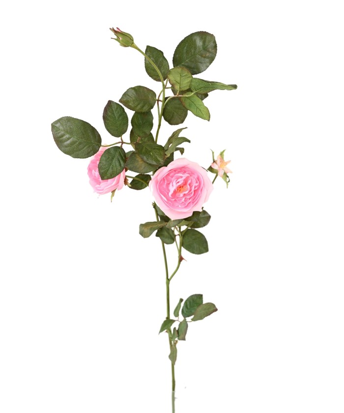 Artificial ENGLISH ROSE