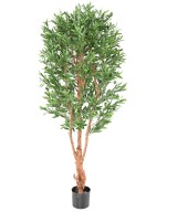 Artificial OLIVE TREE KNOTTY TRUNK PLAST UV