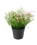 Kunstlill DAISY MINI 20 potiga