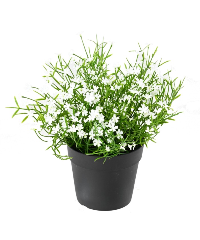 Kunstlill DAISY MINI 20 potiga