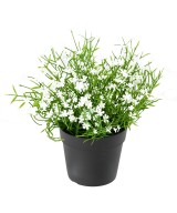 Kunstlill DAISY MINI 20 potiga