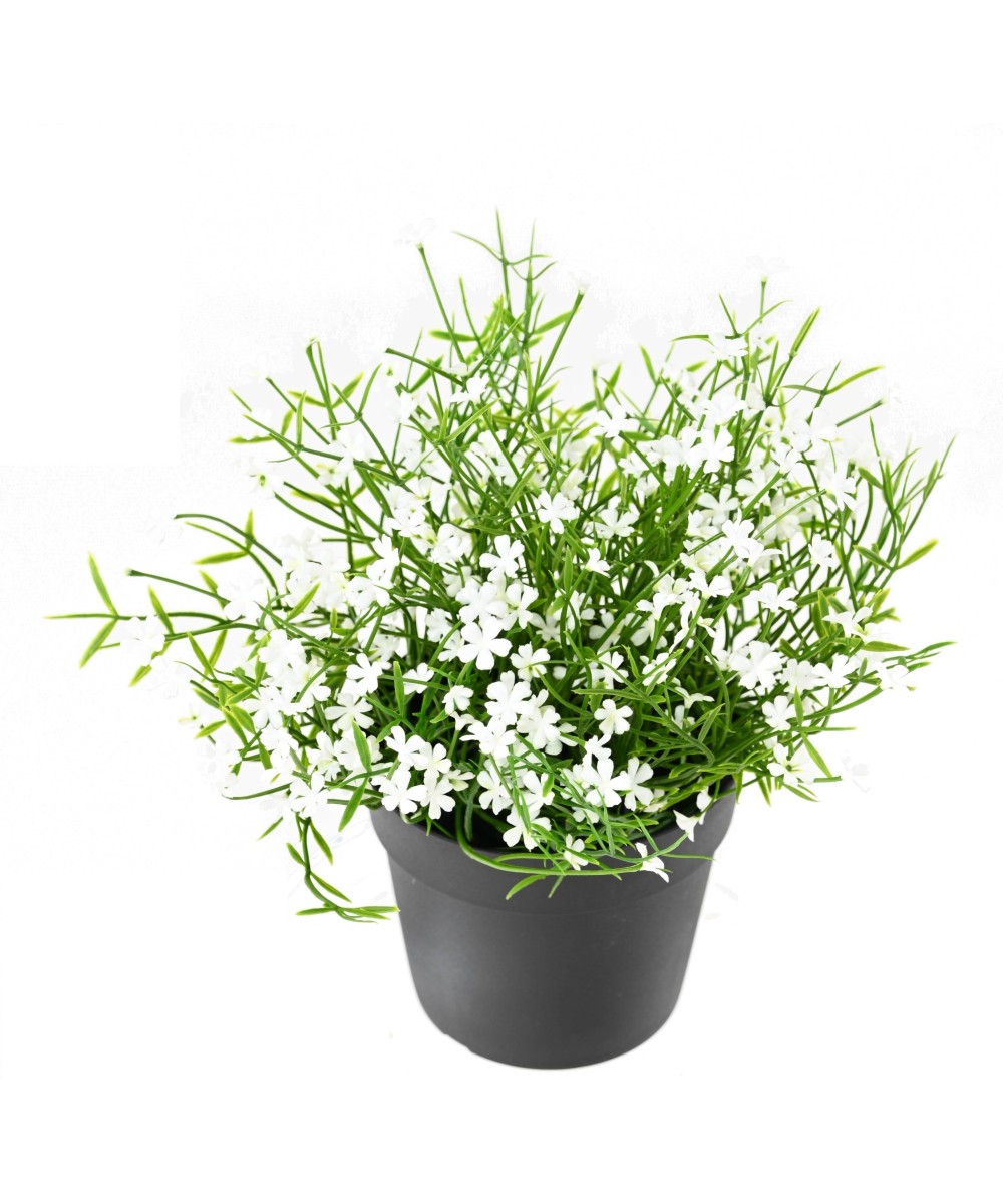 Artificial DAISY MINI 20 pot