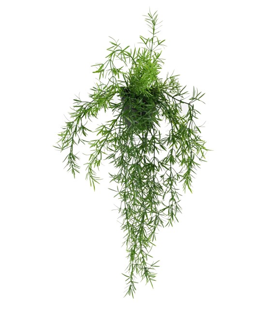 Artificial ASPARAGUS HANGING BUSH 55 POT