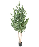 Artificial EUCALYPTUS GUNNII BUSH