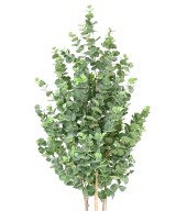 Artificial EUCALYPTUS GUNNII BUSH