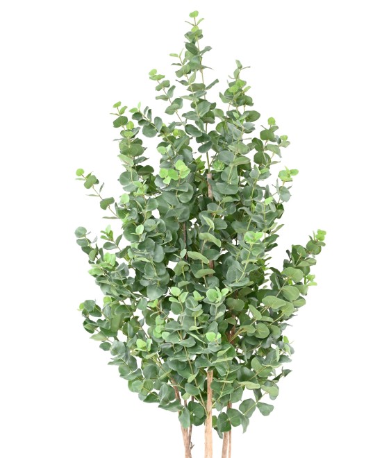 Artificial EUCALYPTUS GUNNII BUSH