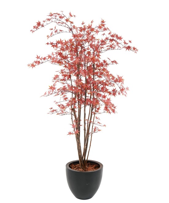 Artificial ARALIA PE UV