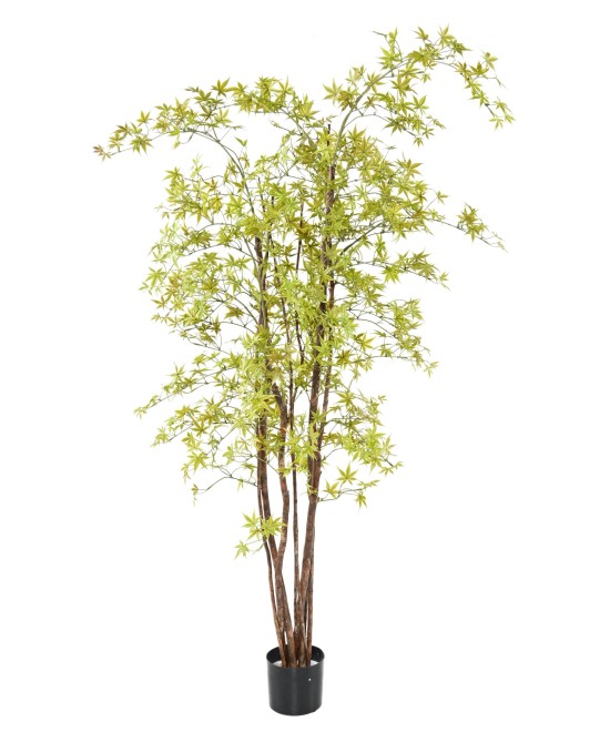 Kunstar aalia PE UV