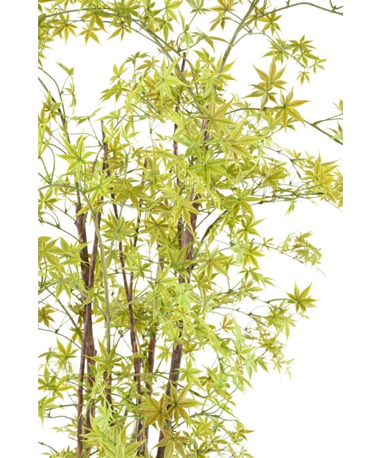 Artificial ARALIA PE UV