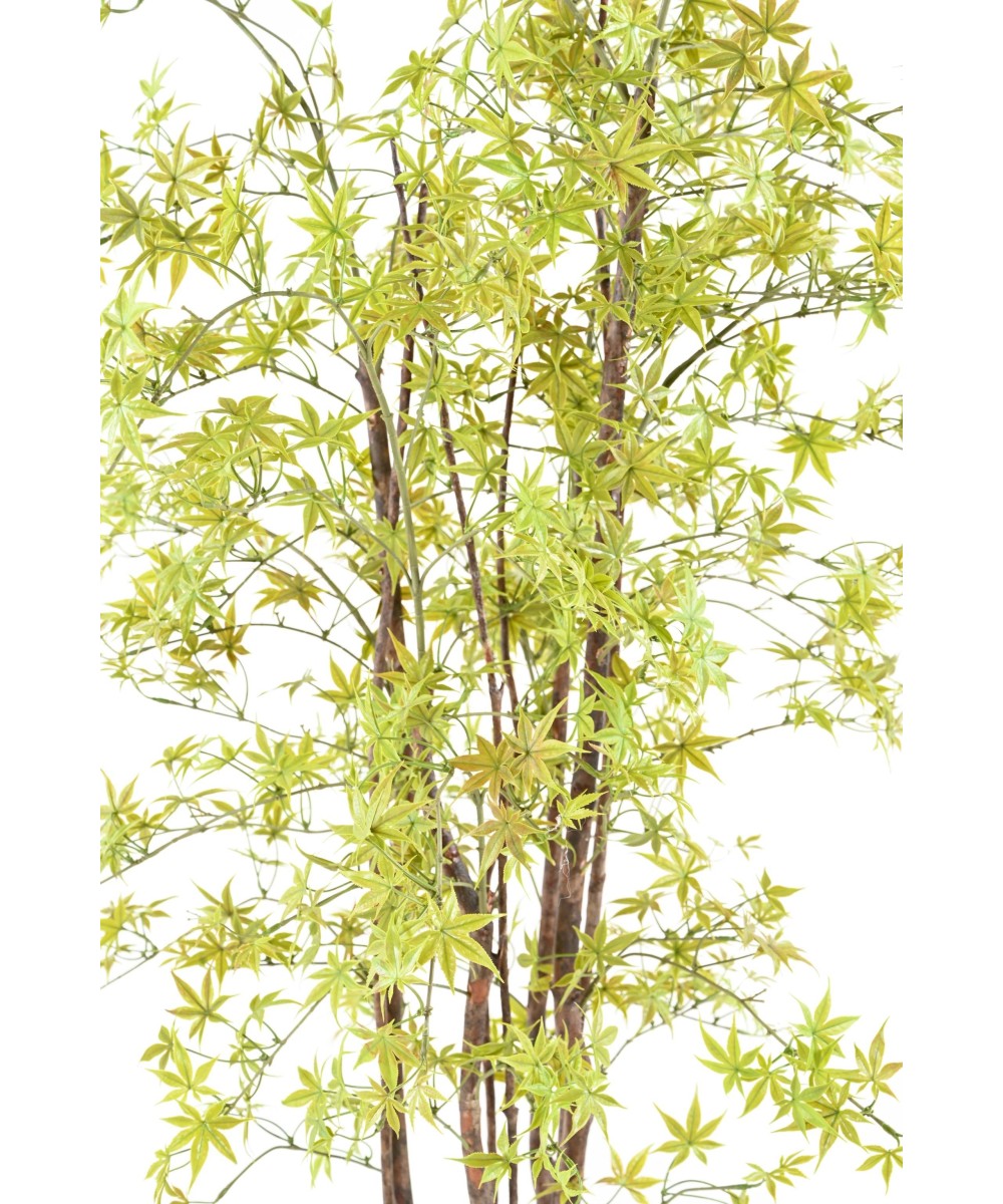 Artificial ARALIA PE UV