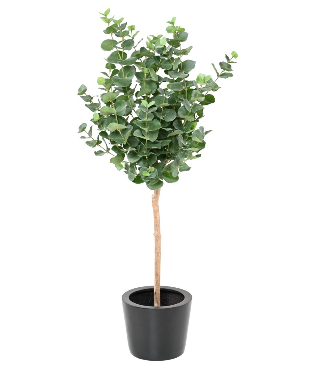 Artificial EUCALYPTUS GUNNII STEM