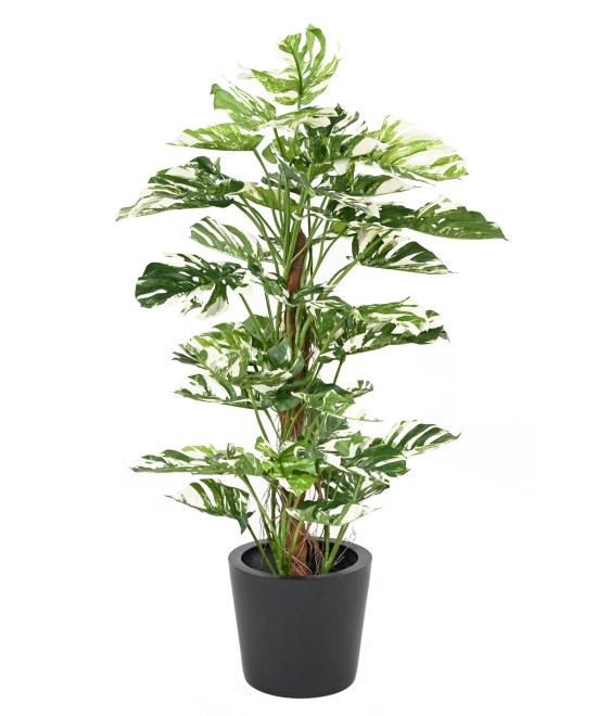 Kunstlik FILODENDRON MONSTERA KOOKOSPÕLVAL UUS 160