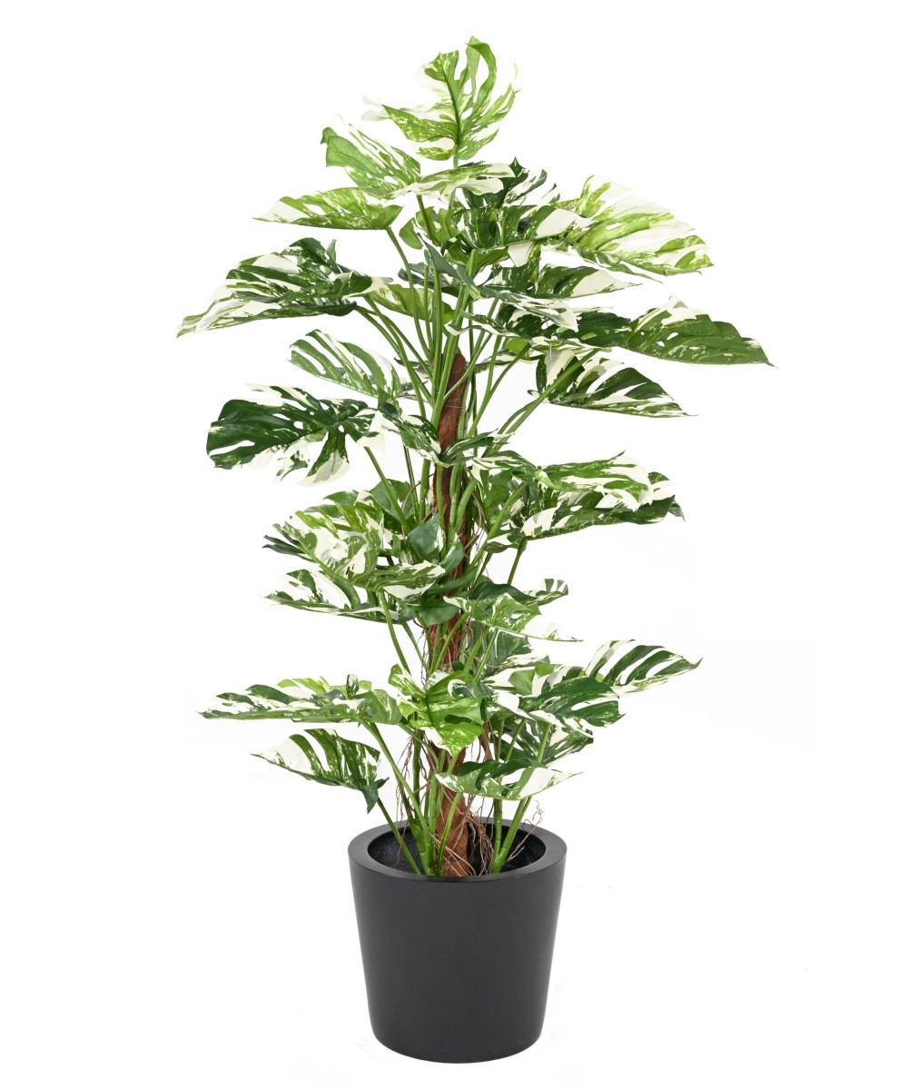 Kunstlik FILODENDRON MONSTERA KOOKOSPÕLVAL UUS 160