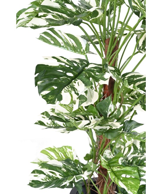 Kunstlik FILODENDRON MONSTERA KOOKOSPÕLVAL UUS 160