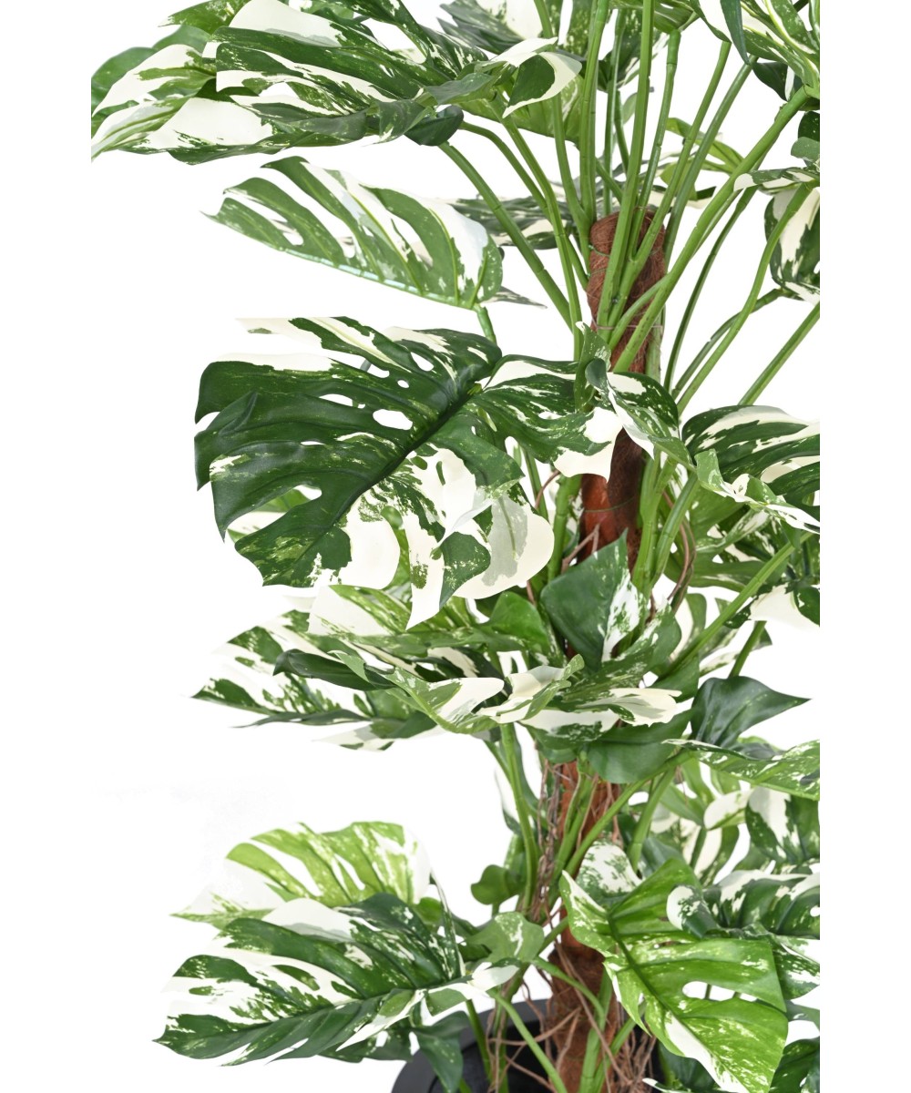 Kunstlik FILODENDRON MONSTERA KOOKOSPÕLVAL UUS 160
