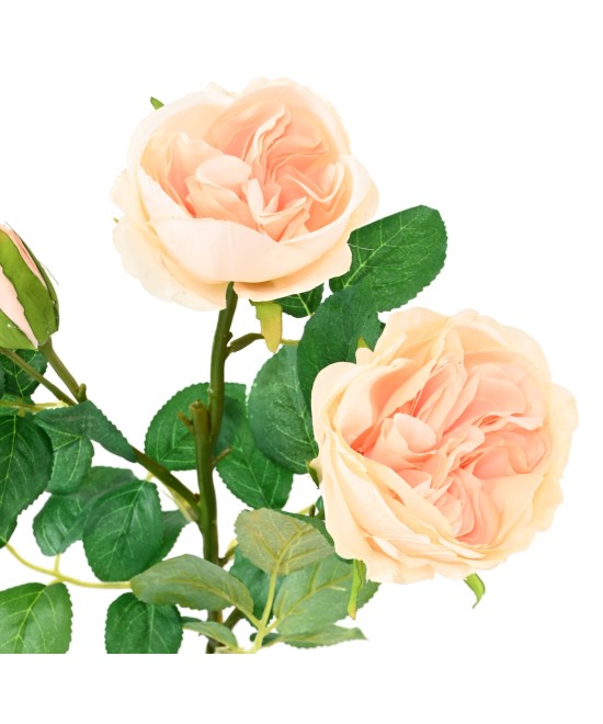 Artificial ENGLISH ROSE 55