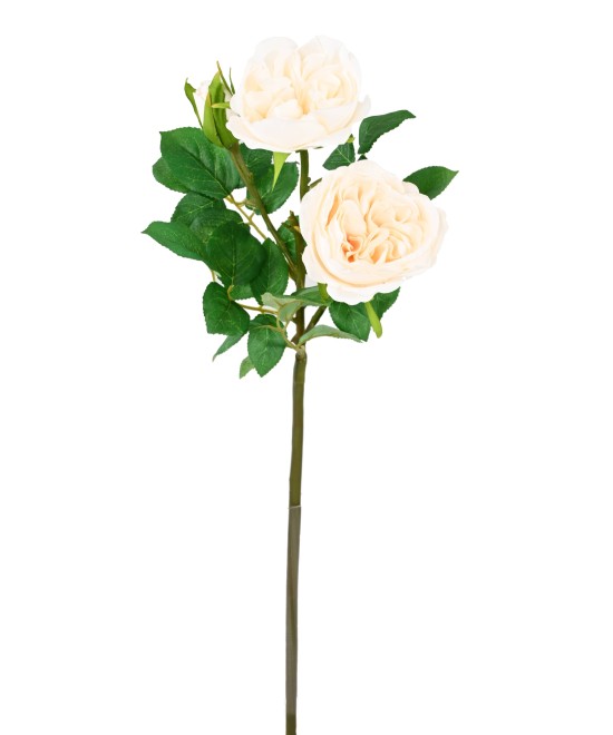 Artificial ENGLISH ROSE 55
