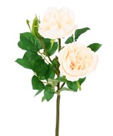 Artificial ENGLISH ROSE 55