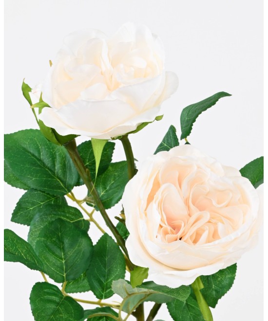 Kunstlik INGLISE ROOS 55