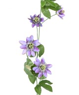Kunstlik PASSIFLORA 100