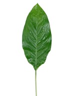 Kunstlik SPATHIPHYLLUM (rahuliilia) HIIGLASLIK LEHT 105