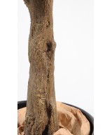 Artificial Orange Tree