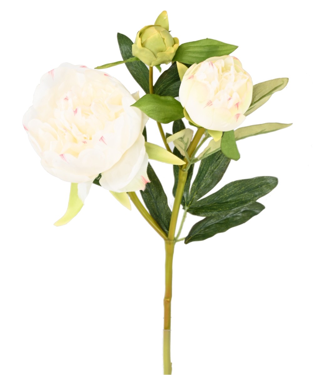 Artificial PEONY 20.1