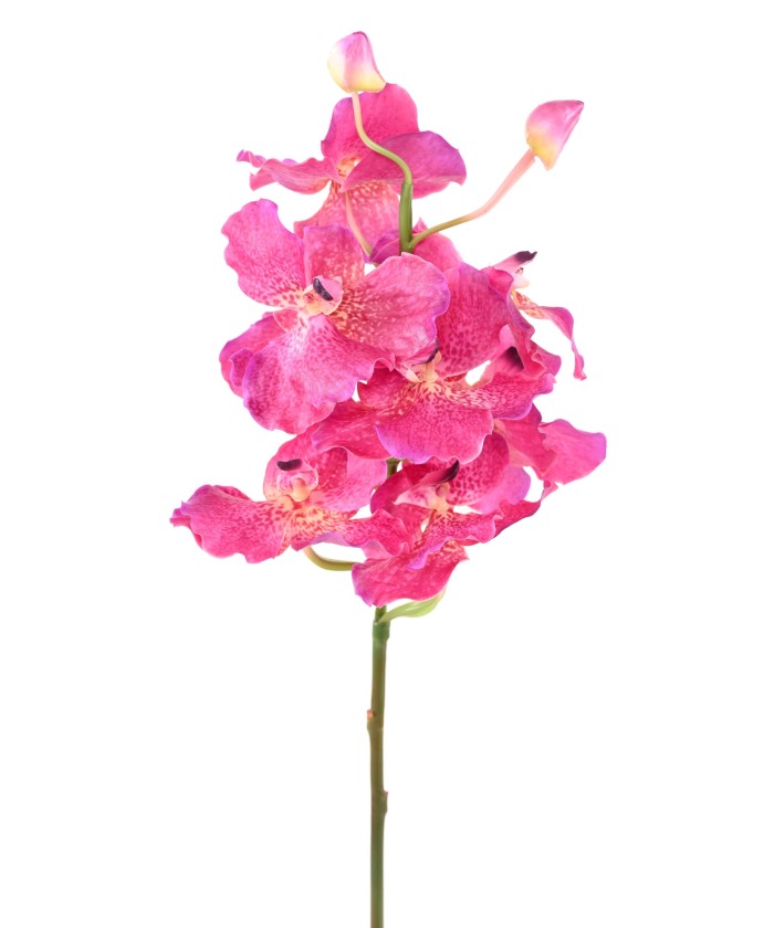 Artificial VANDA ORCHID
