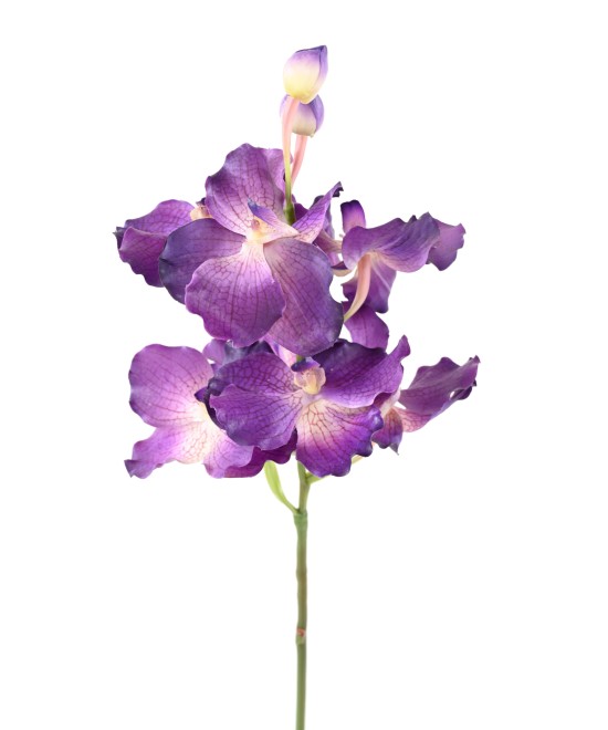 Kunstlik VANDA ORHIDEE