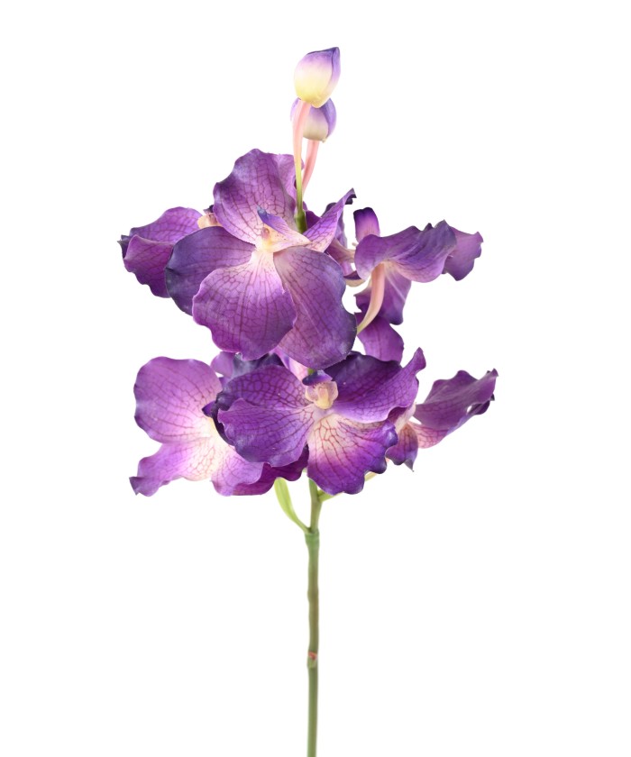 Kunstlik VANDA ORHIDEE