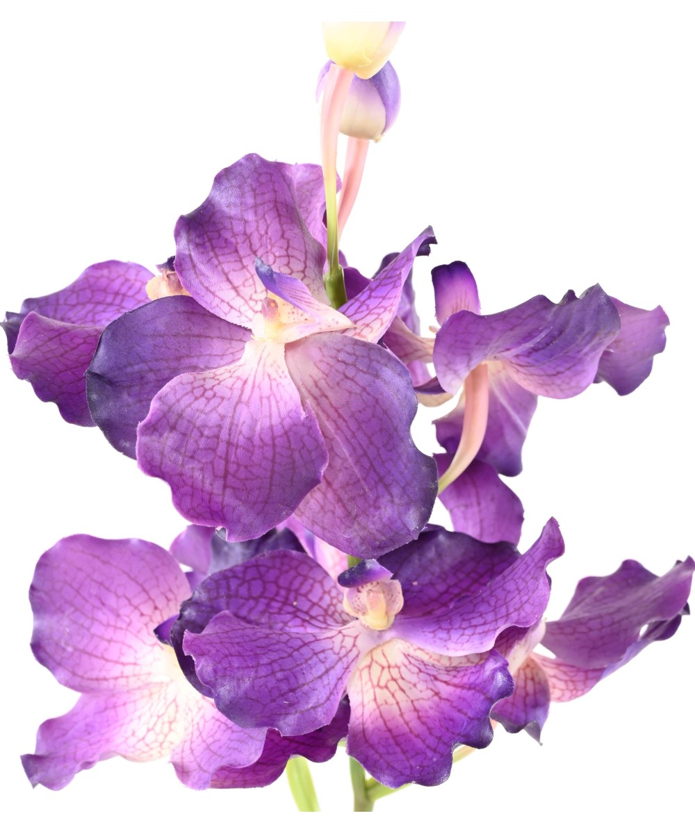 Kunstlik VANDA ORHIDEE